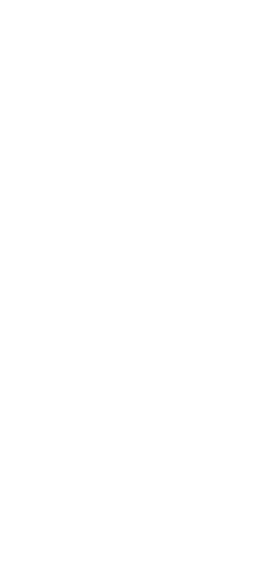 loader image