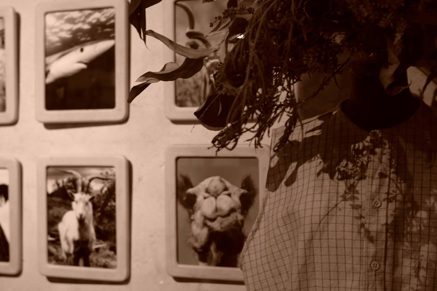 EXHIBITION RECORDS